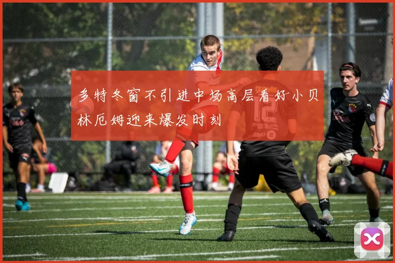 多特冬窗不引进中场高层看好小贝林厄姆迎来爆发时刻