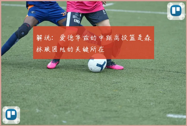 解说：爱德华兹的中距离投篮是森林狼团结的关键所在